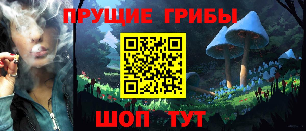 Псилоцибиновые грибы Cubensis Корсаков