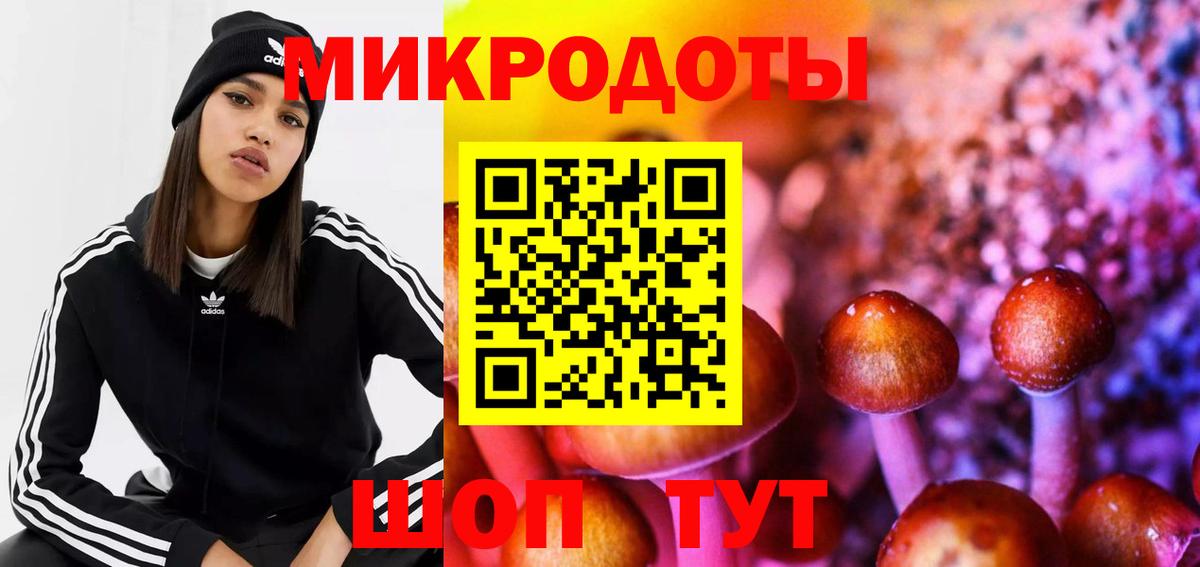 Корсаков  Галлюциногенные грибы Psilocybine cubensis  Вход с VPN 